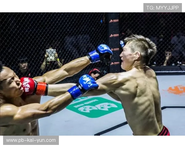 MMA的“裁判保护”：提前终止与选手抗议
