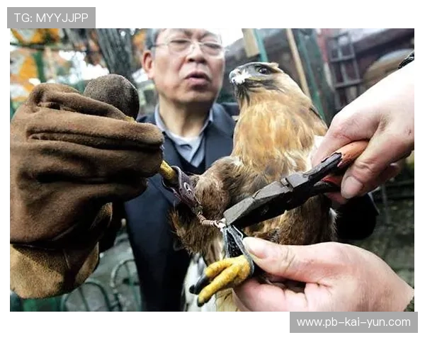 球迷扔出的假牙被门将捡起戴嘴上,扑点时露出诡异笑容吓飞射手 球迷扔出的假牙被门将捡起戴嘴上,扑点时露出诡异笑容吓飞射手